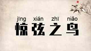惊弦之鸟