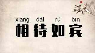 相待如宾