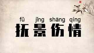 抚景伤情