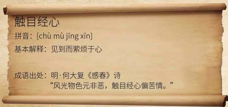 触目经心