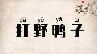 打野鸭子