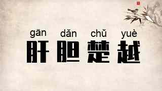 肝胆楚越