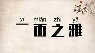 一面之雅