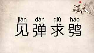 见弹求鸮