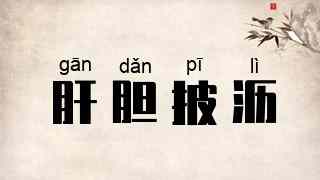 肝胆披沥
