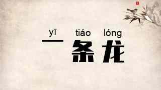 一条龙