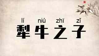 犁牛之子