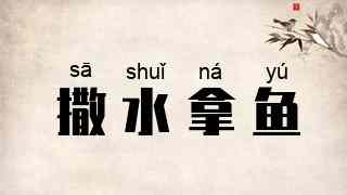 撒水拿鱼