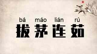 拔茅连茹