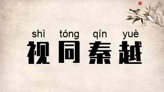 视同秦越