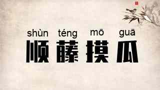 顺藤摸瓜