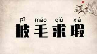披毛求瑕