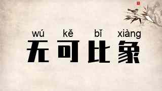 无可比象