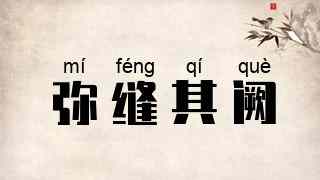 弥缝其阙
