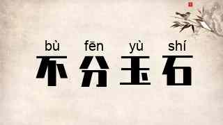不分玉石