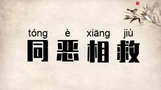 同恶相救