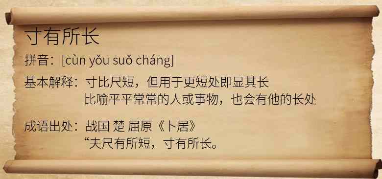 寸有所长