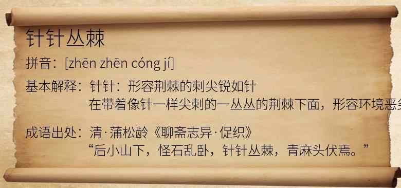 针针丛棘
