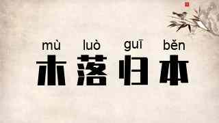 木落归本
