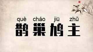 鹊巢鸠主