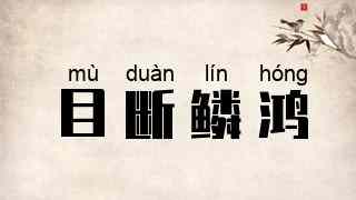 目断鳞鸿