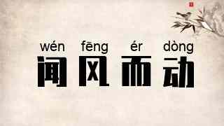闻风而动