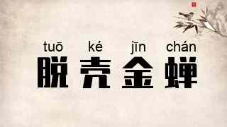 脱壳金蝉