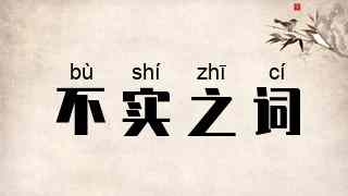 不实之词