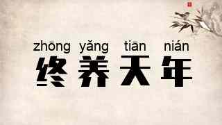 终养天年