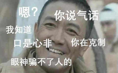 丫头文学是什么