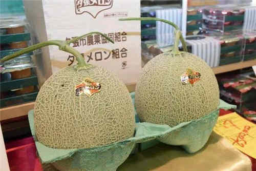 夕张蜜瓜为什么这么贵