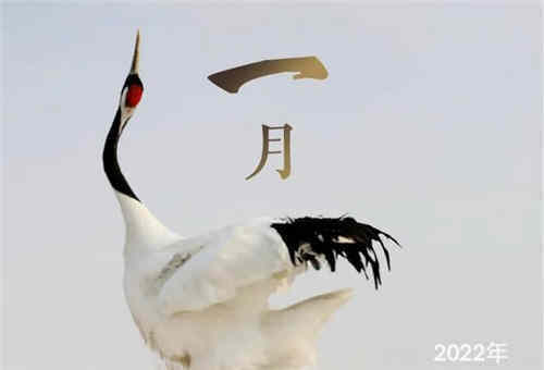 2022年放假安排