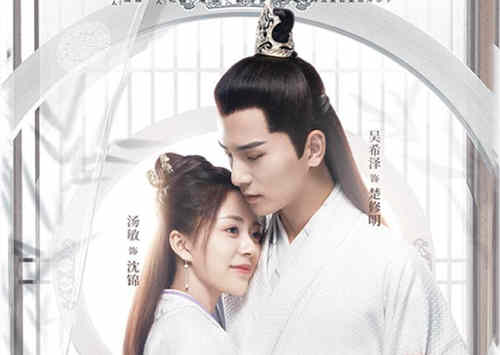 《将军家的小娘子》讲述的什么
