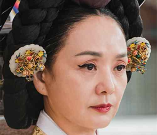 《哲仁王后》中纯元王后历史原型是什么