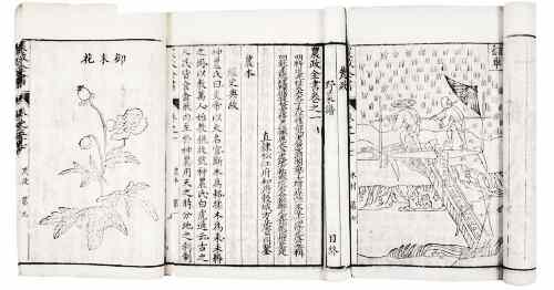《农政全书》：农业科学遗产总汇