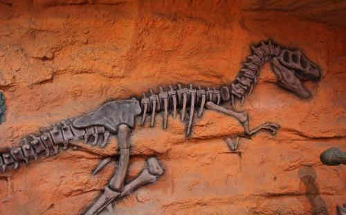 恐龙化石的研究发展