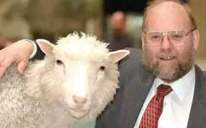 克隆羊多莉的诞生