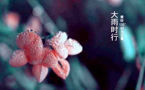 大暑的天气特点