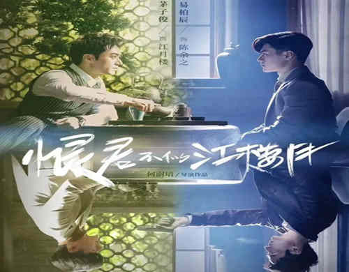 《恨君不似江楼月》是什么剧