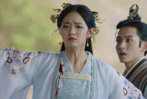 《如意芳霏》西河郡主为肃王挡刀