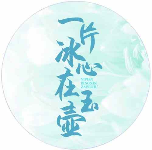 《一片冰心在玉壶》剧情介绍
