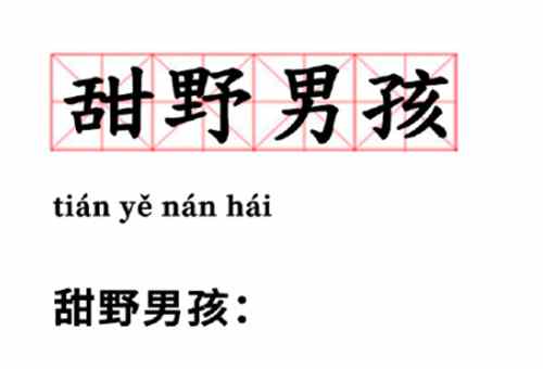 甜野男孩是什么意思