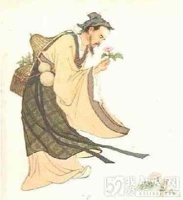 华佗身世之谜：华佗来自哪里