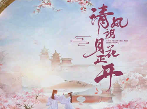 《清风朗月花正开》是什么剧