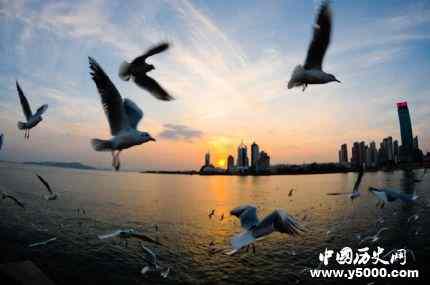 山东历史文化名城青岛_青岛好玩的地方