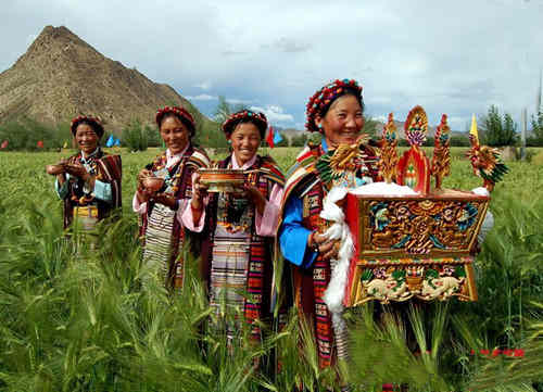 望果节是什么节日