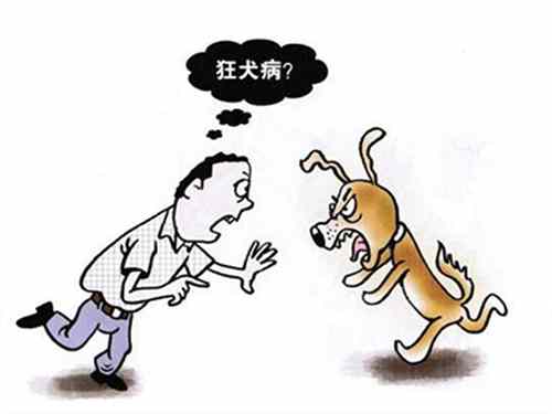 狂犬病有什么表现