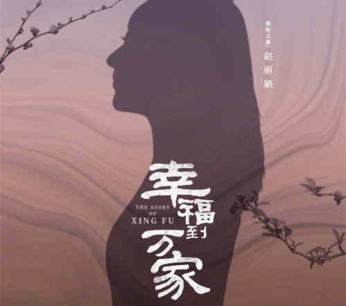 《幸福到万家》讲述了一个什么样的故事