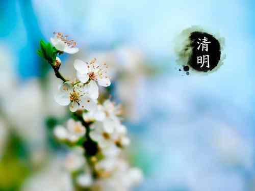 贾岛《清明日园林寄友人》原文译文赏析