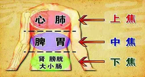 三焦辨证具体指什么